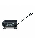 Bloom Wagon Planter