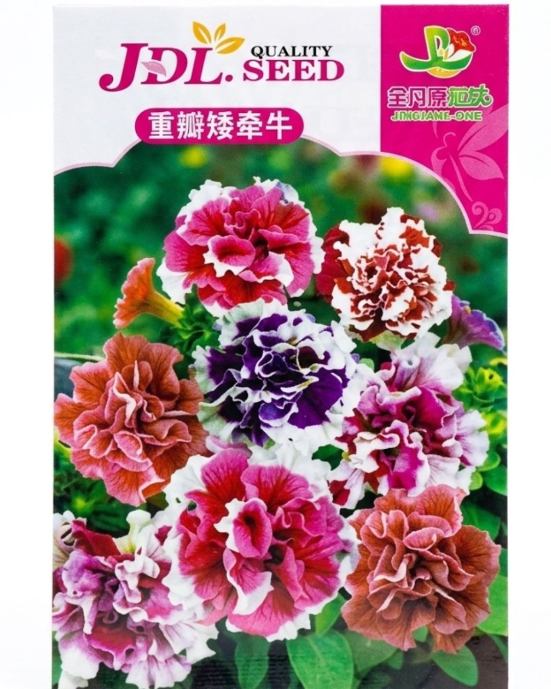Flower & Vegetable Seeds