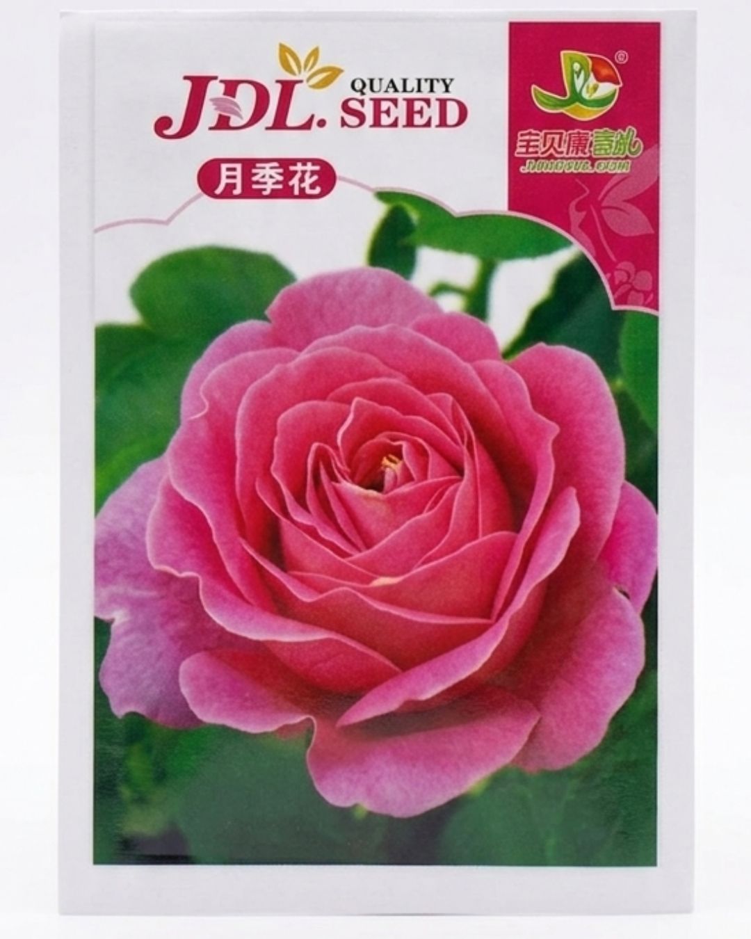 Flower & Vegetable Seeds