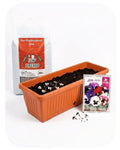 3-in-1 Plastic Offer