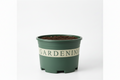 Green Gardening Plastic Plant Pot with Drainage Base