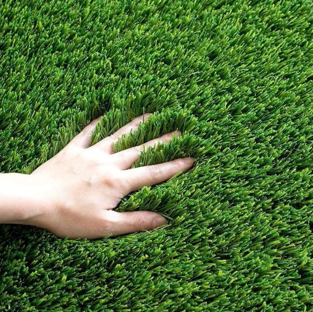 Premium Mountain Grass