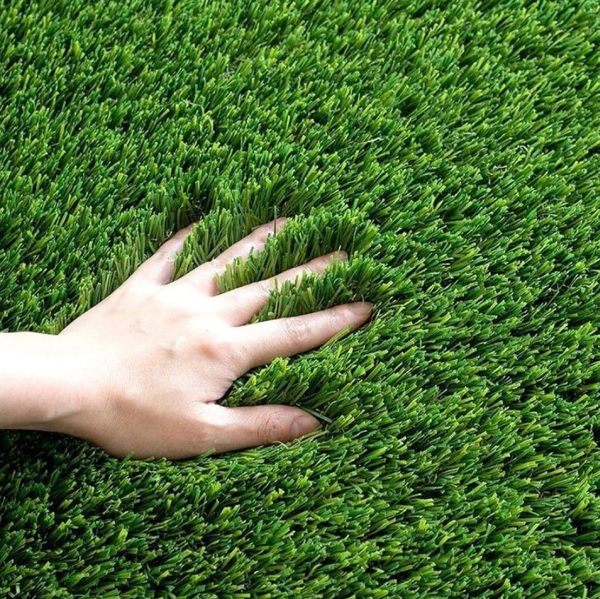 Premium Mountain Grass