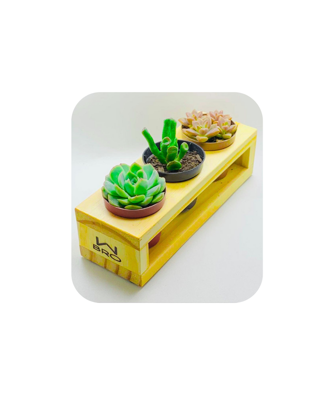Wood Offer